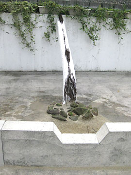DMイメージ